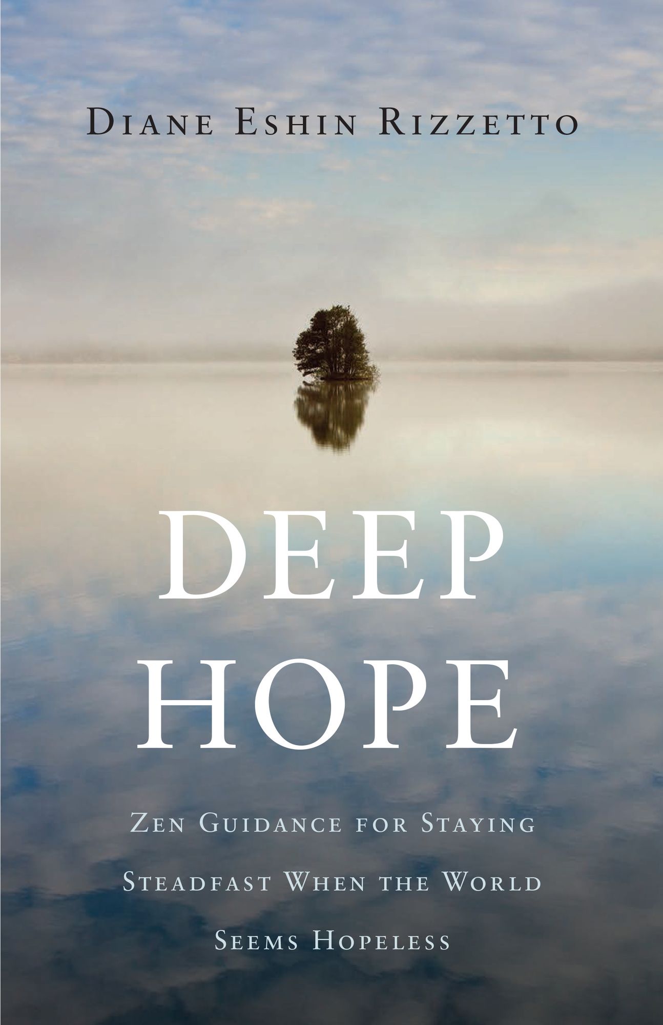 Deep Hope : Zen Guidance for Staying Steadfast When the World Seems Hopeless