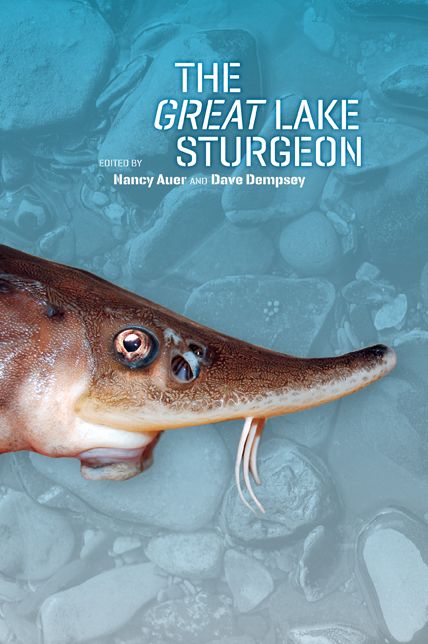 The Great Lake Sturgeon