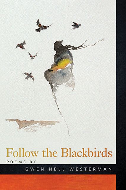 Follow the Blackbirds