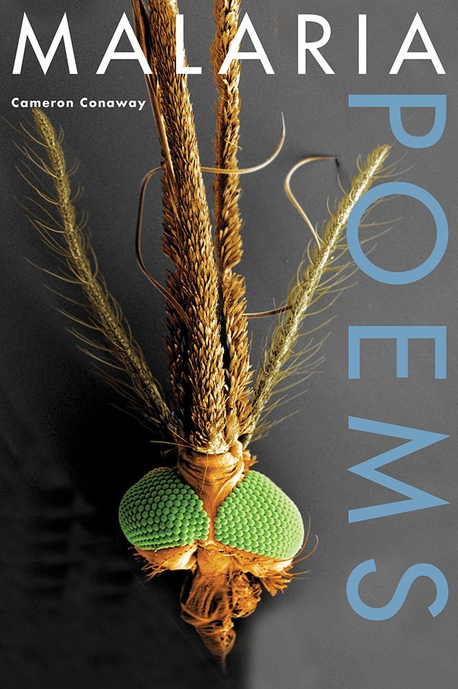 Malaria, Poems