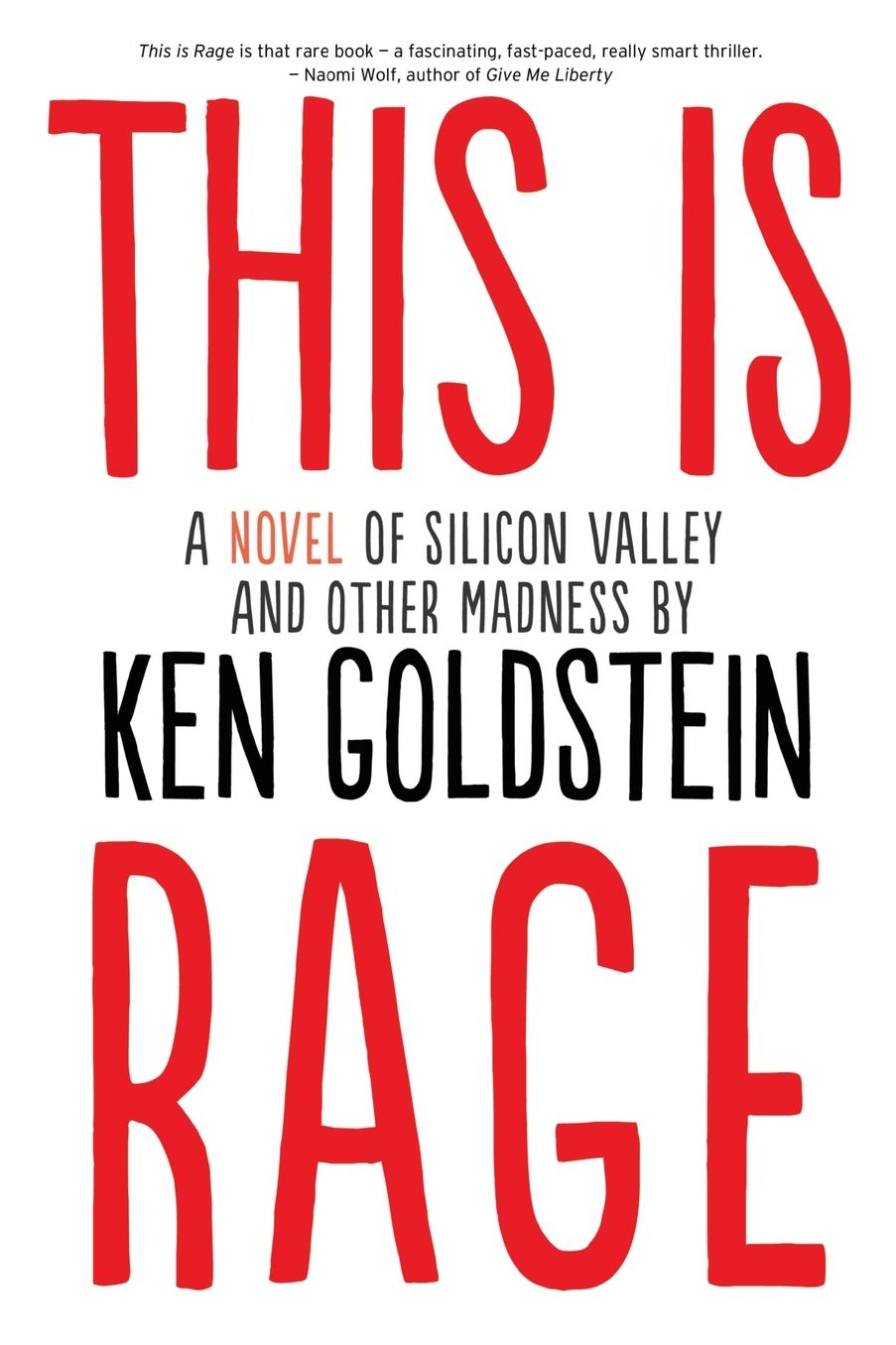 This is Rage: A Novel of Silicon Valley and Other Madness