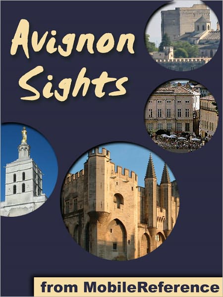 Avignon Sights: a travel guide to the top 15 attractions in Avignon, France