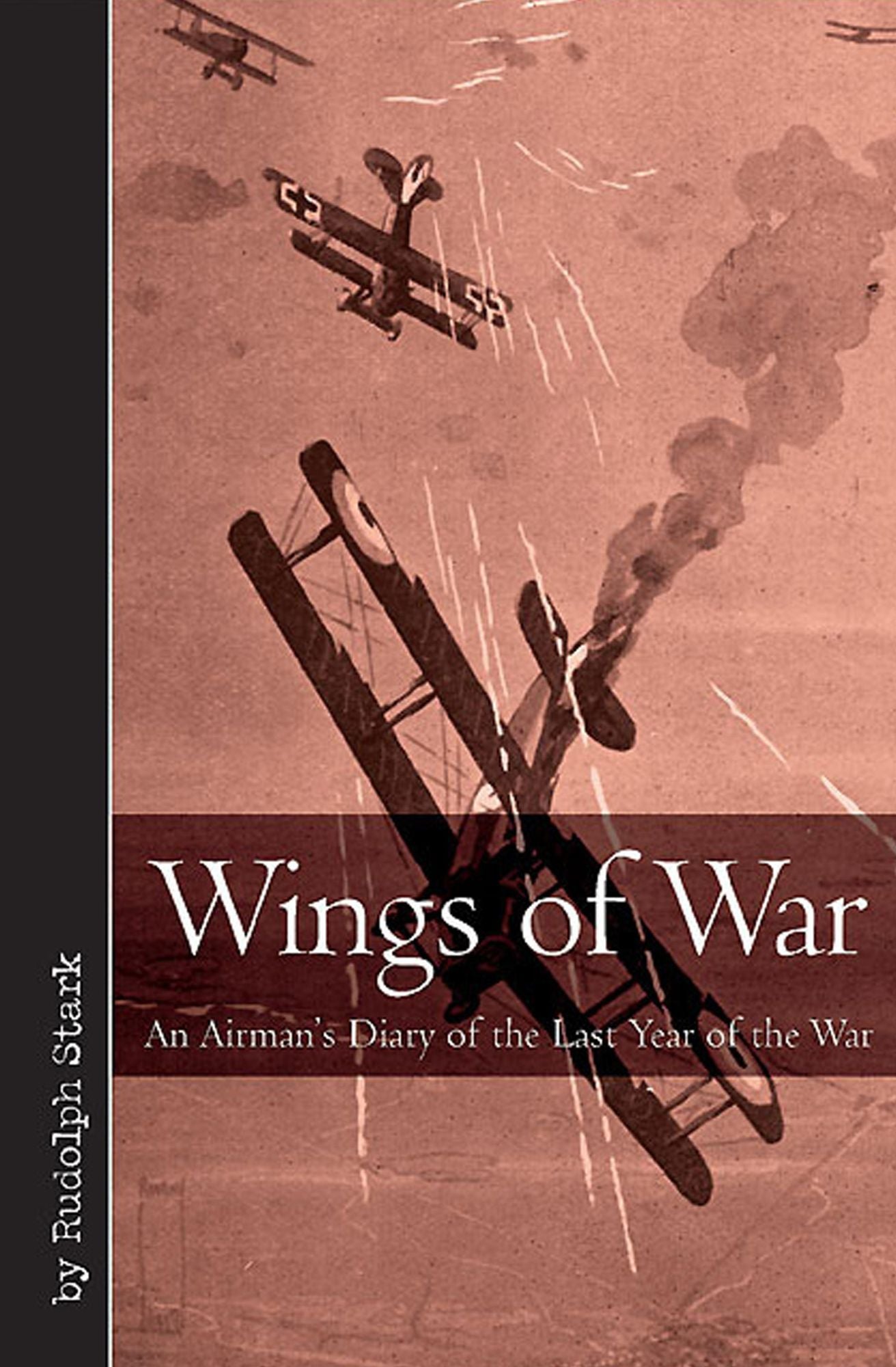 Wings of War: An Airman's Diary of the Last Year of the War