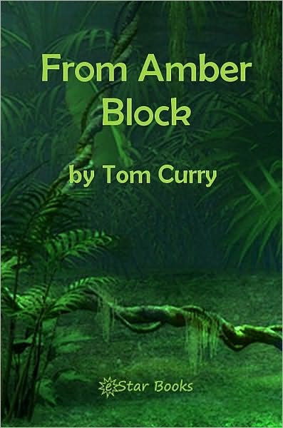 From An Amber Block