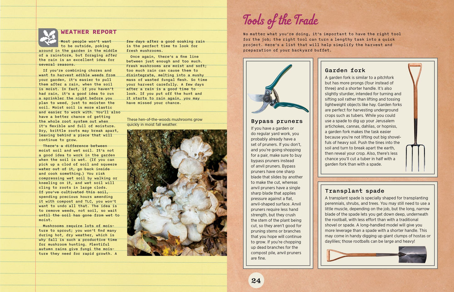 Backyard Foraging: 65 Familiar Plants You Didn't Know You Could Eat