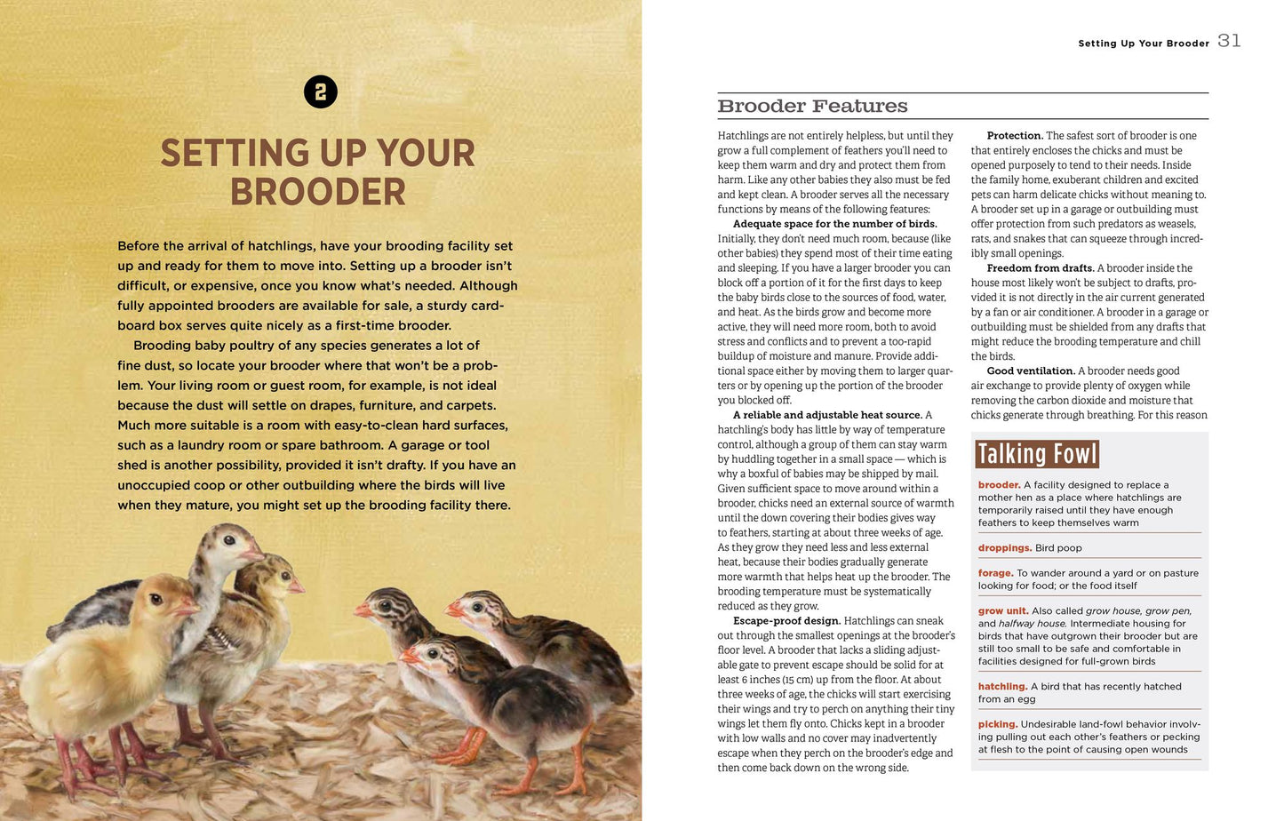 Hatching & Brooding Your Own Chicks: Chickens, Turkeys, Ducks, Geese, Guinea Fowl