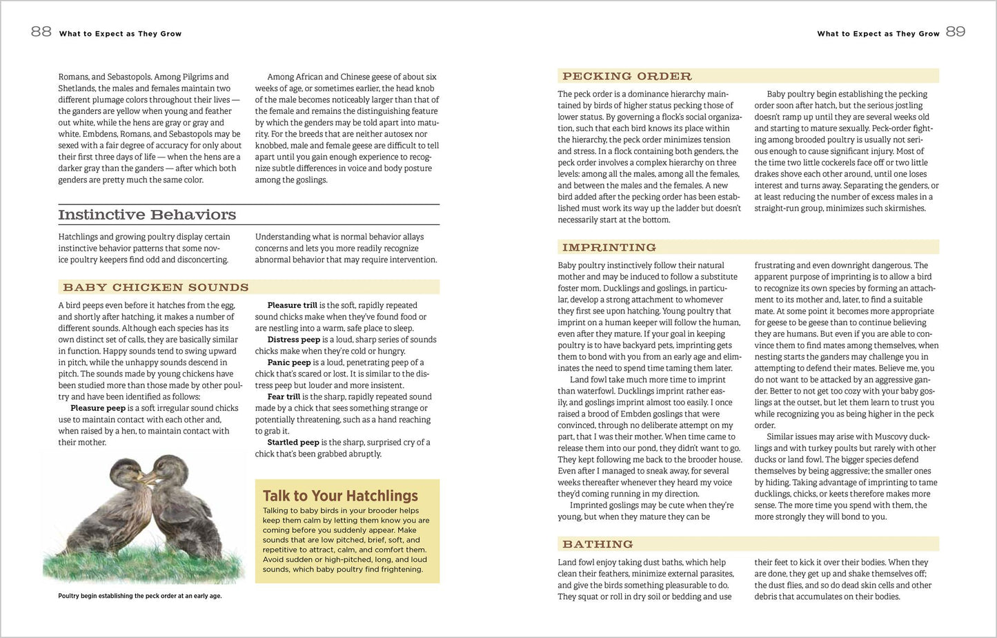 Hatching & Brooding Your Own Chicks: Chickens, Turkeys, Ducks, Geese, Guinea Fowl