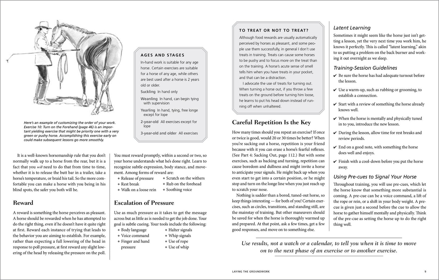 101 Ground Training Exercises for Every Horse & Handler