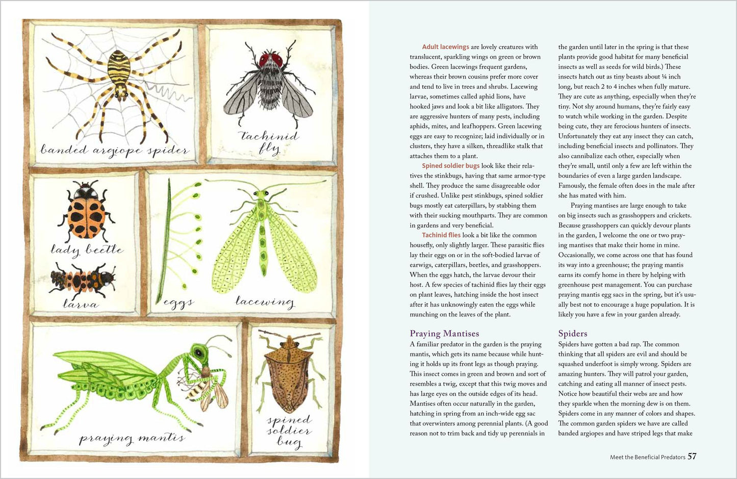 The Wildlife-Friendly Vegetable Gardener: How to Grow Food in Harmony with Nature