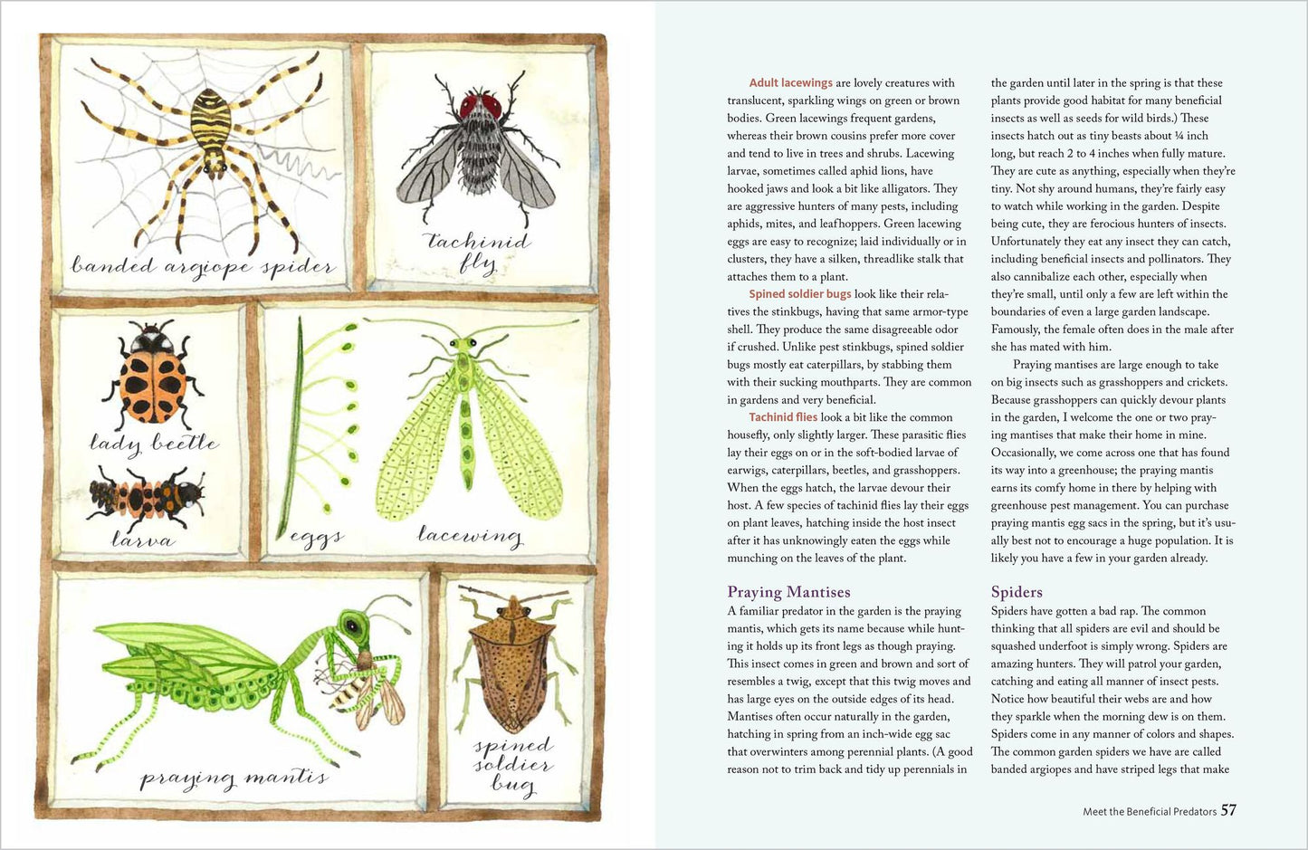 The Wildlife-Friendly Vegetable Gardener: How to Grow Food in Harmony with Nature