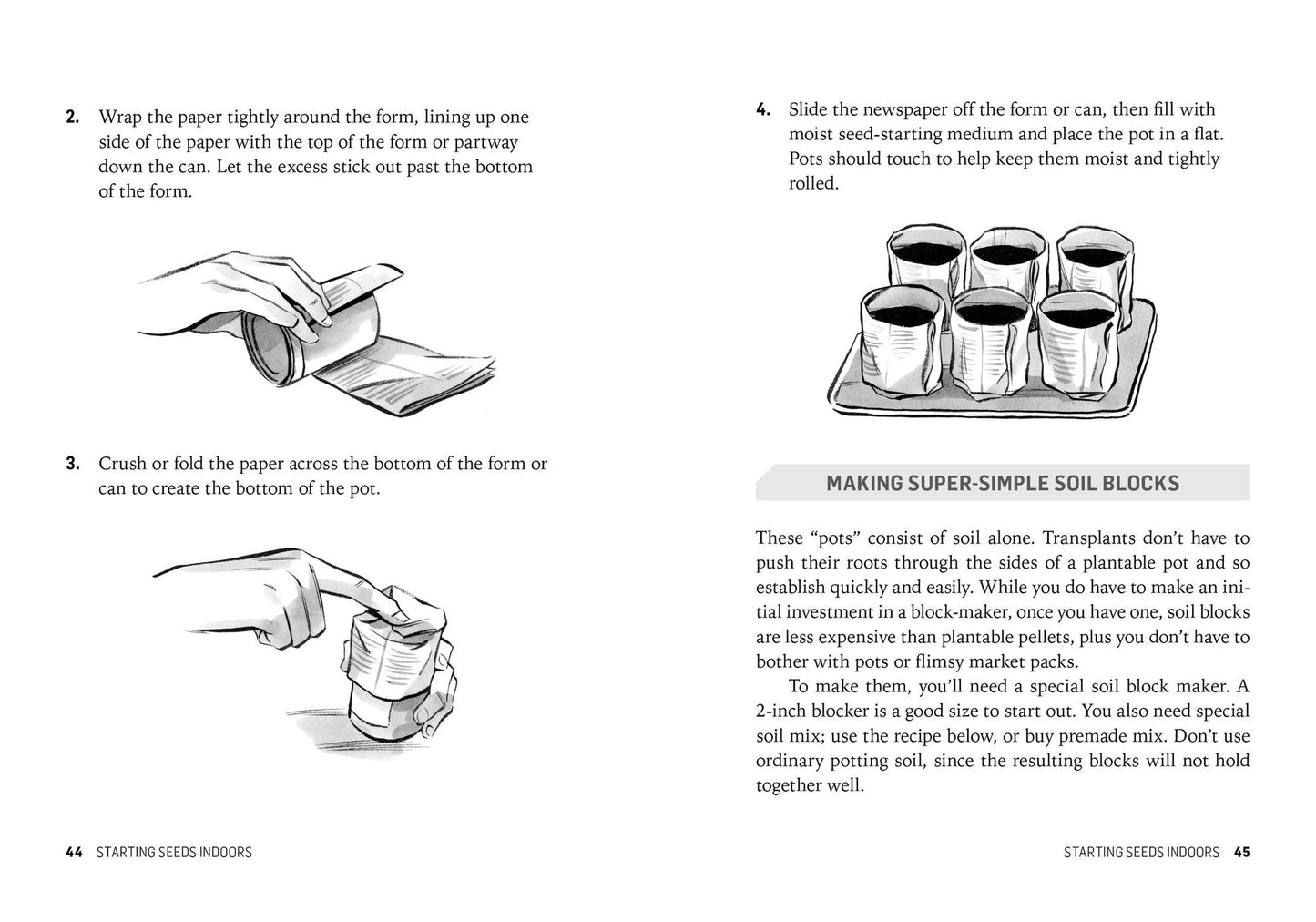 Starting Seeds: How to Grow Healthy, Productive Vegetables, Herbs, and Flowers from Seed. A Storey BASICS Title