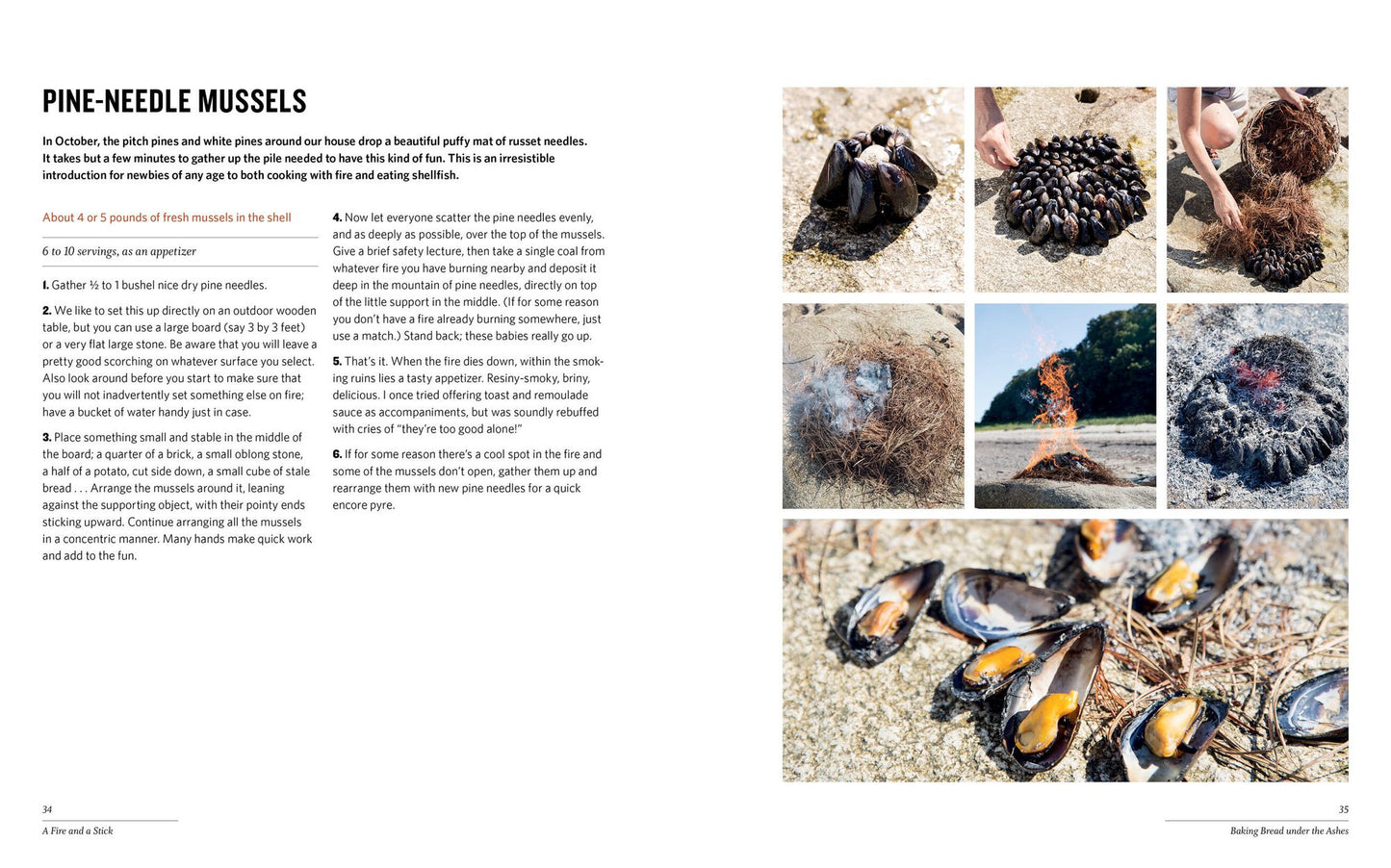 Cooking with Fire: From Roasting on a Spit to Baking in a Tannur, Rediscovered Techniques and Recipes That Capture the Flavors of Wood-Fired Cooking