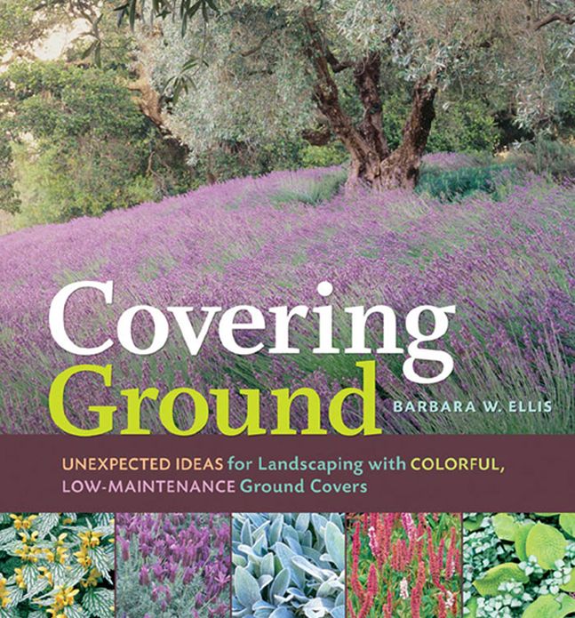 Covering Ground