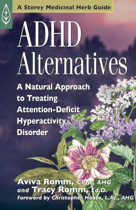 ADHD Alternatives: A Natural Approach to Treating Attention Deficit Hyperactivity Disorder