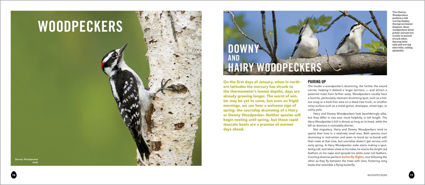 Into the Nest: Intimate Views of the Courting, Parenting, and Family Lives of Familiar Birds
