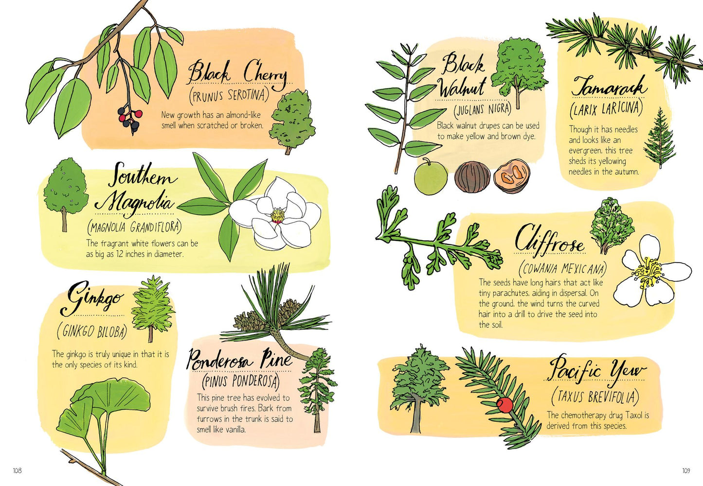 Nature Anatomy: The Curious Parts and Pieces of the Natural World