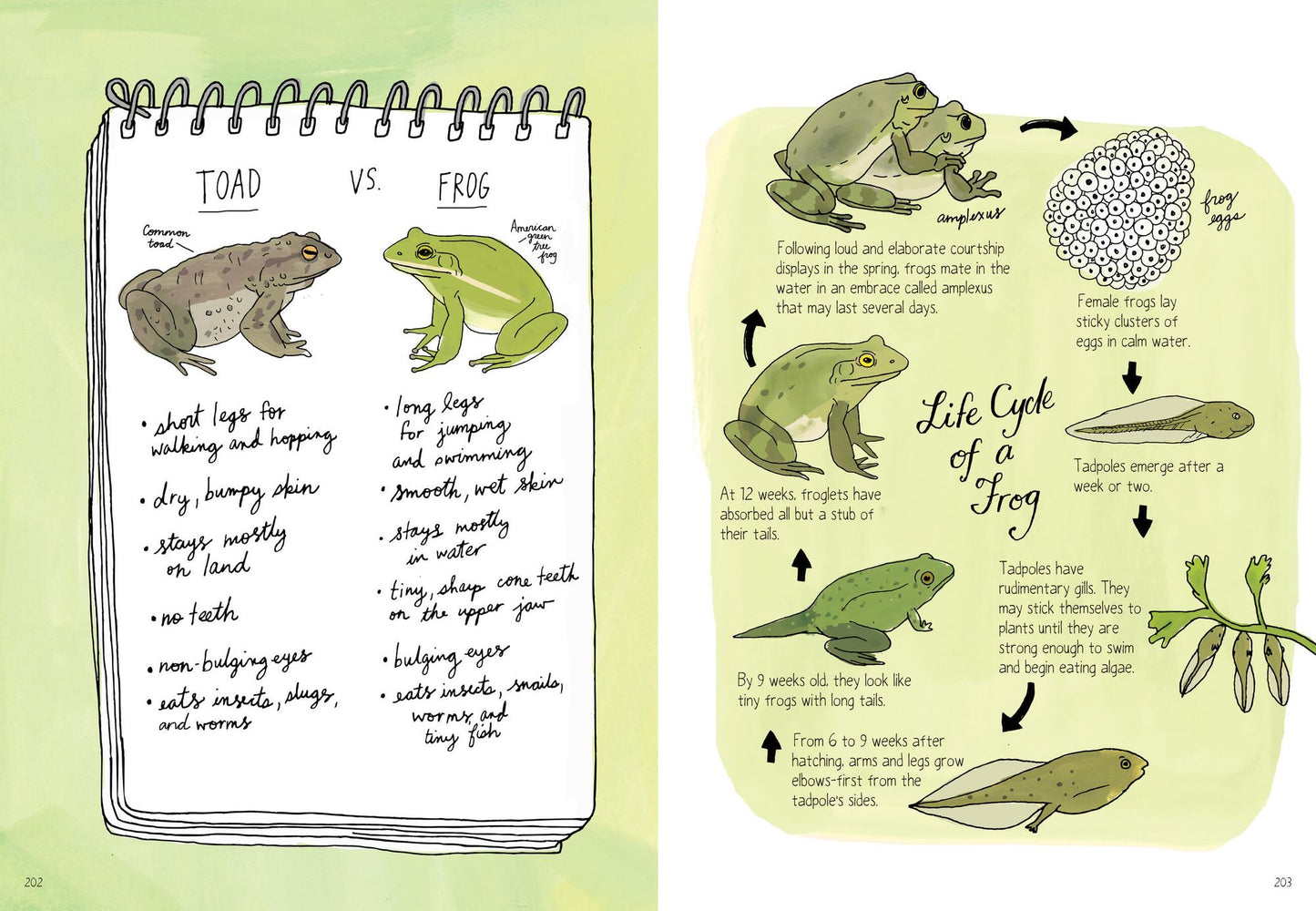 Nature Anatomy: The Curious Parts and Pieces of the Natural World