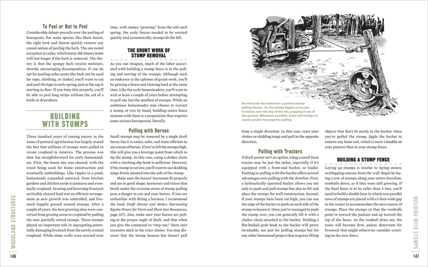 The Woodland Homestead: How to Make Your Land More Productive and Live More Self-Sufficiently in the Woods