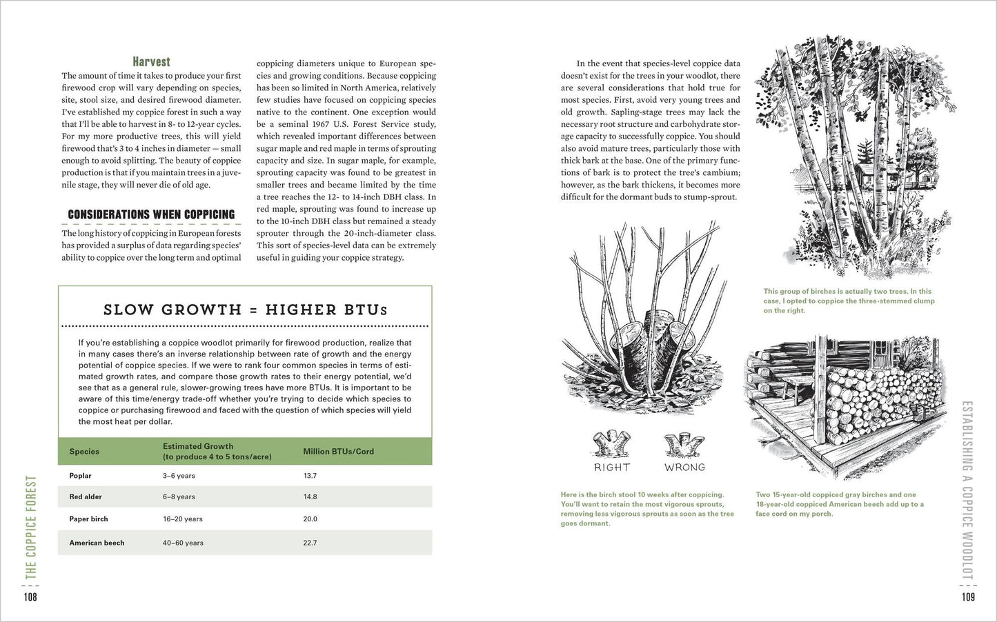 The Woodland Homestead: How to Make Your Land More Productive and Live More Self-Sufficiently in the Woods