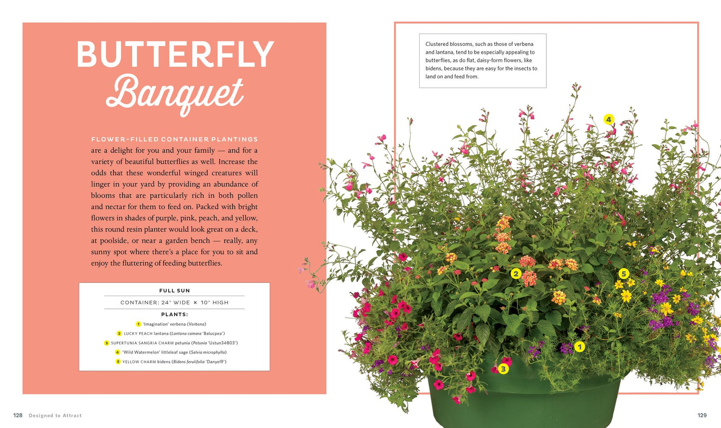 Container Theme Gardens: 42 Combinations, Each Using 5 Perfectly Matched Plants