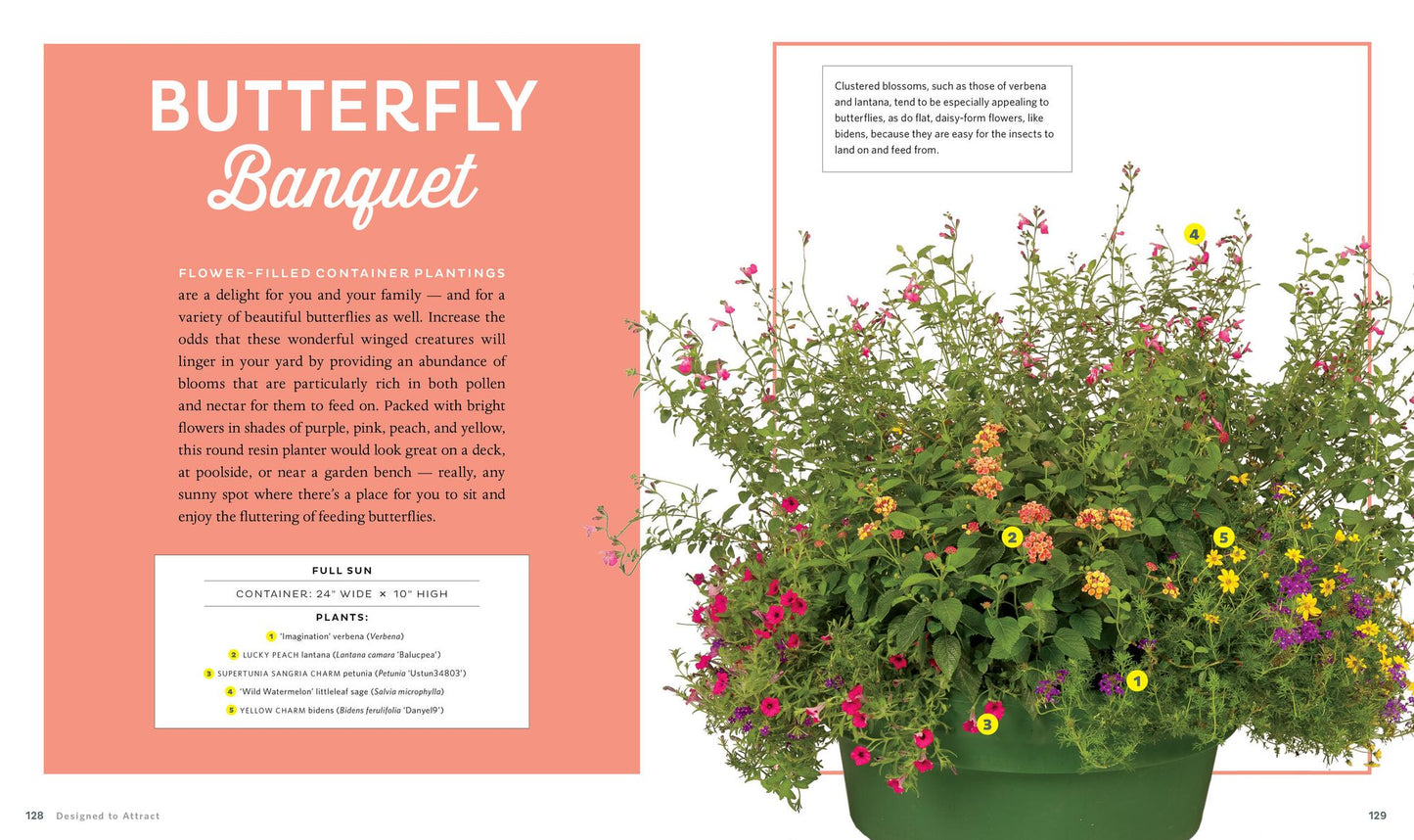 Container Theme Gardens: 42 Combinations, Each Using 5 Perfectly Matched Plants