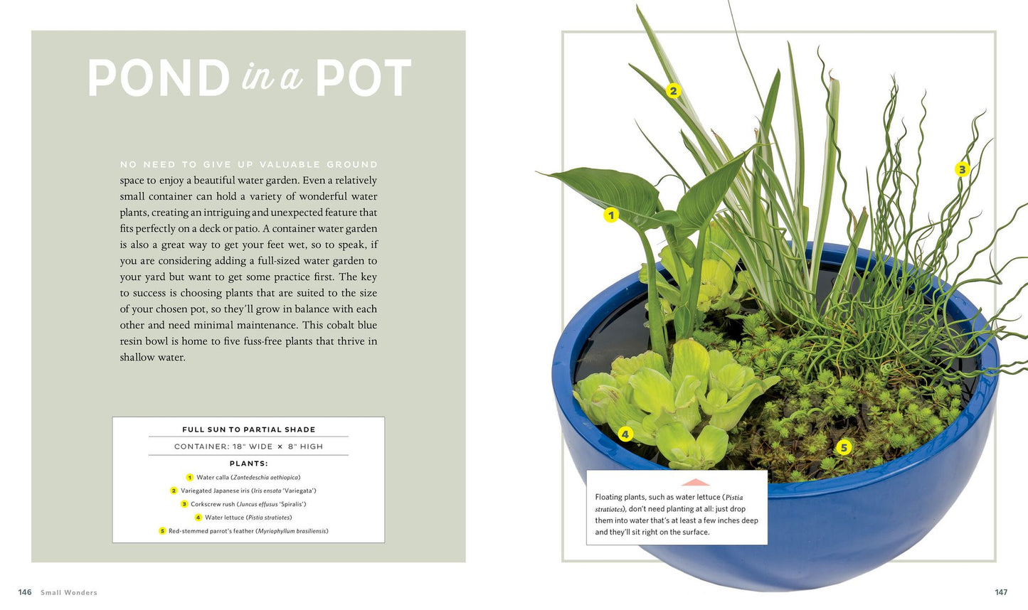 Container Theme Gardens: 42 Combinations, Each Using 5 Perfectly Matched Plants