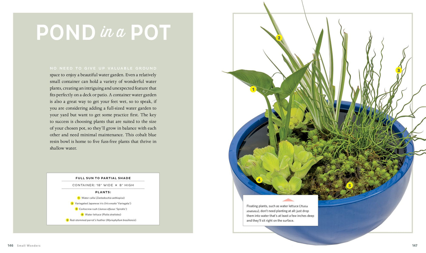 Container Theme Gardens: 42 Combinations, Each Using 5 Perfectly Matched Plants