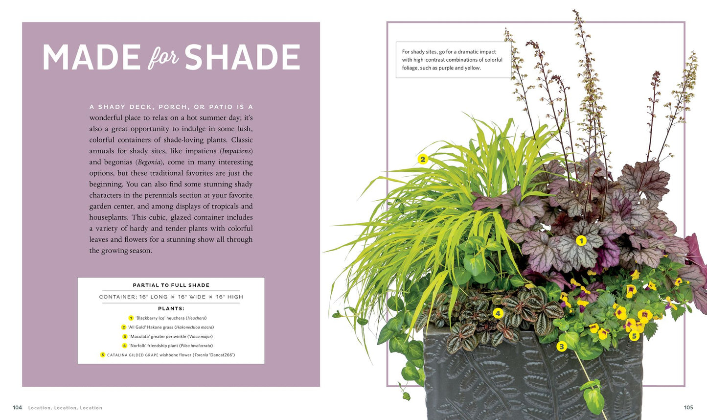 Container Theme Gardens: 42 Combinations, Each Using 5 Perfectly Matched Plants
