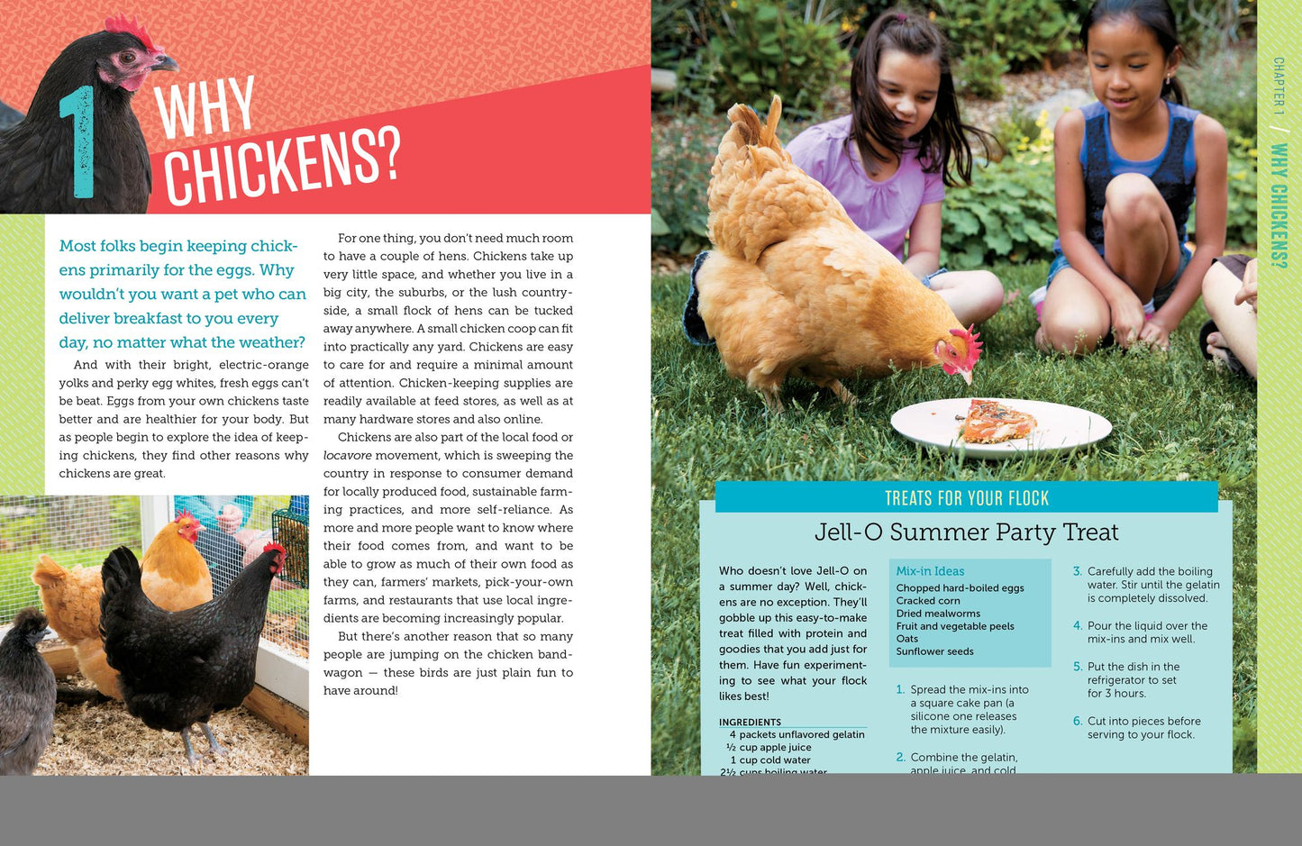 A Kid's Guide to Keeping Chickens: Best Breeds, Creating a Home, Care and Handling, Outdoor Fun, Crafts and Treats