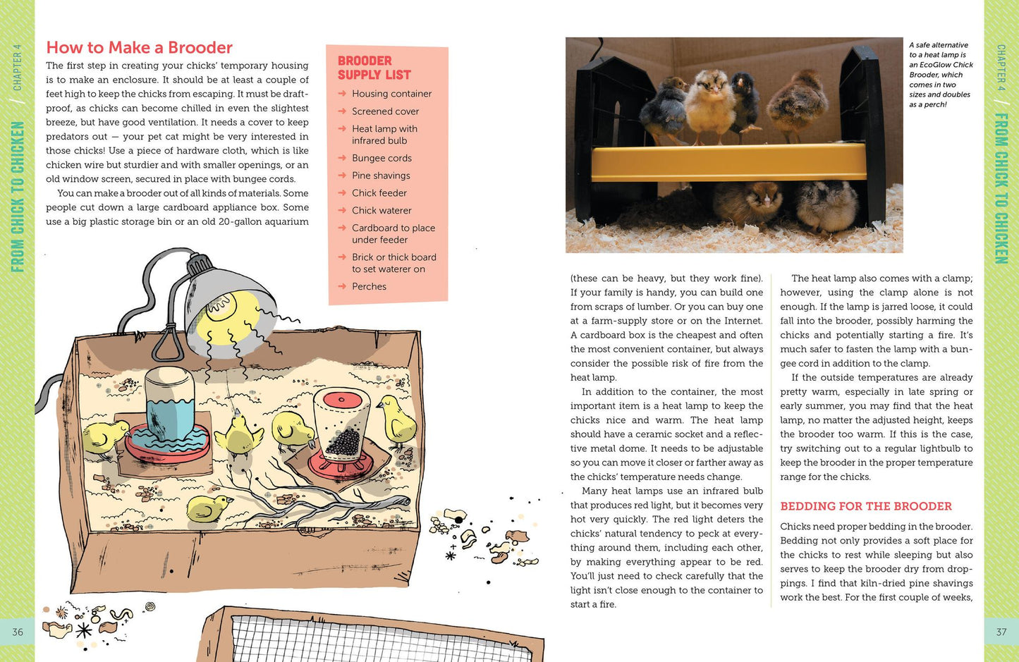A Kid's Guide to Keeping Chickens: Best Breeds, Creating a Home, Care and Handling, Outdoor Fun, Crafts and Treats