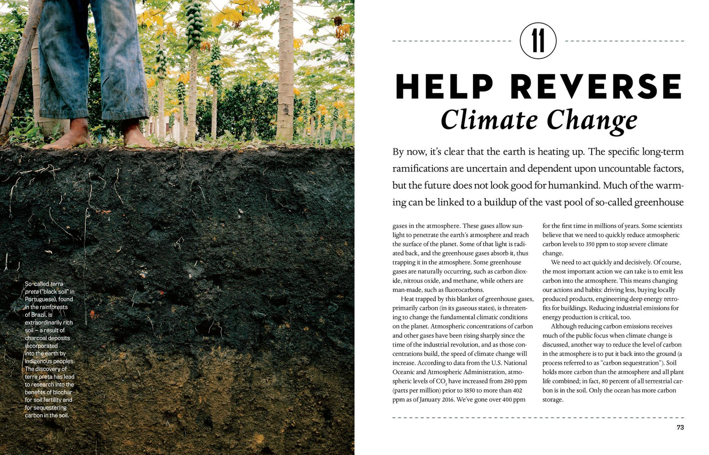 The Permaculture Promise: What Permaculture Is and How It Can Help Us Reverse Climate Change, Build a More Resilient Future on Earth, and Revitalize Our Communities