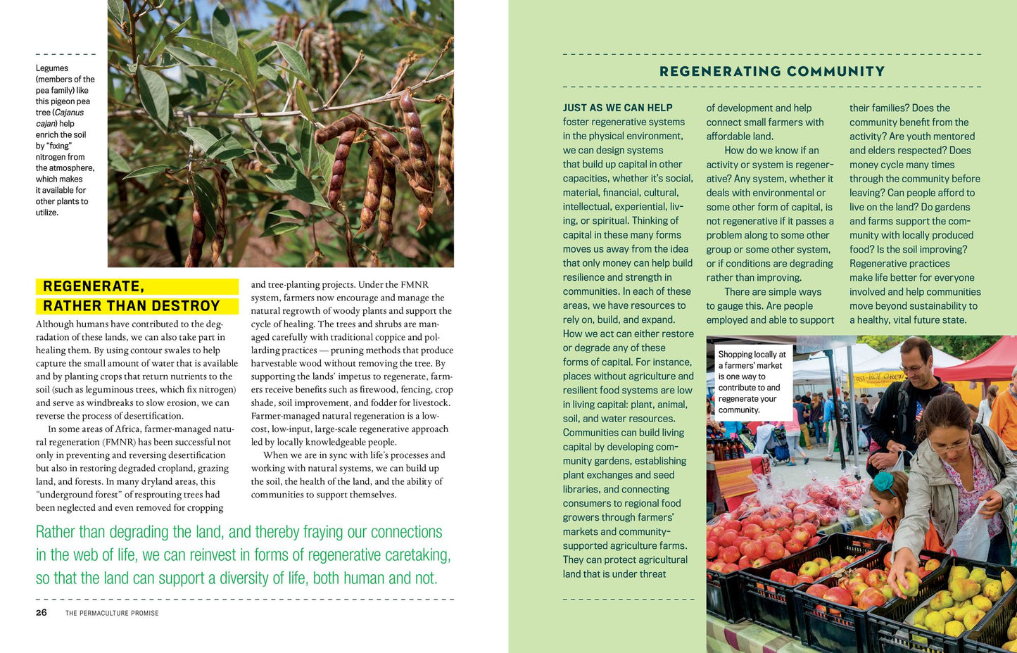 The Permaculture Promise: What Permaculture Is and How It Can Help Us Reverse Climate Change, Build a More Resilient Future on Earth, and Revitalize Our Communities