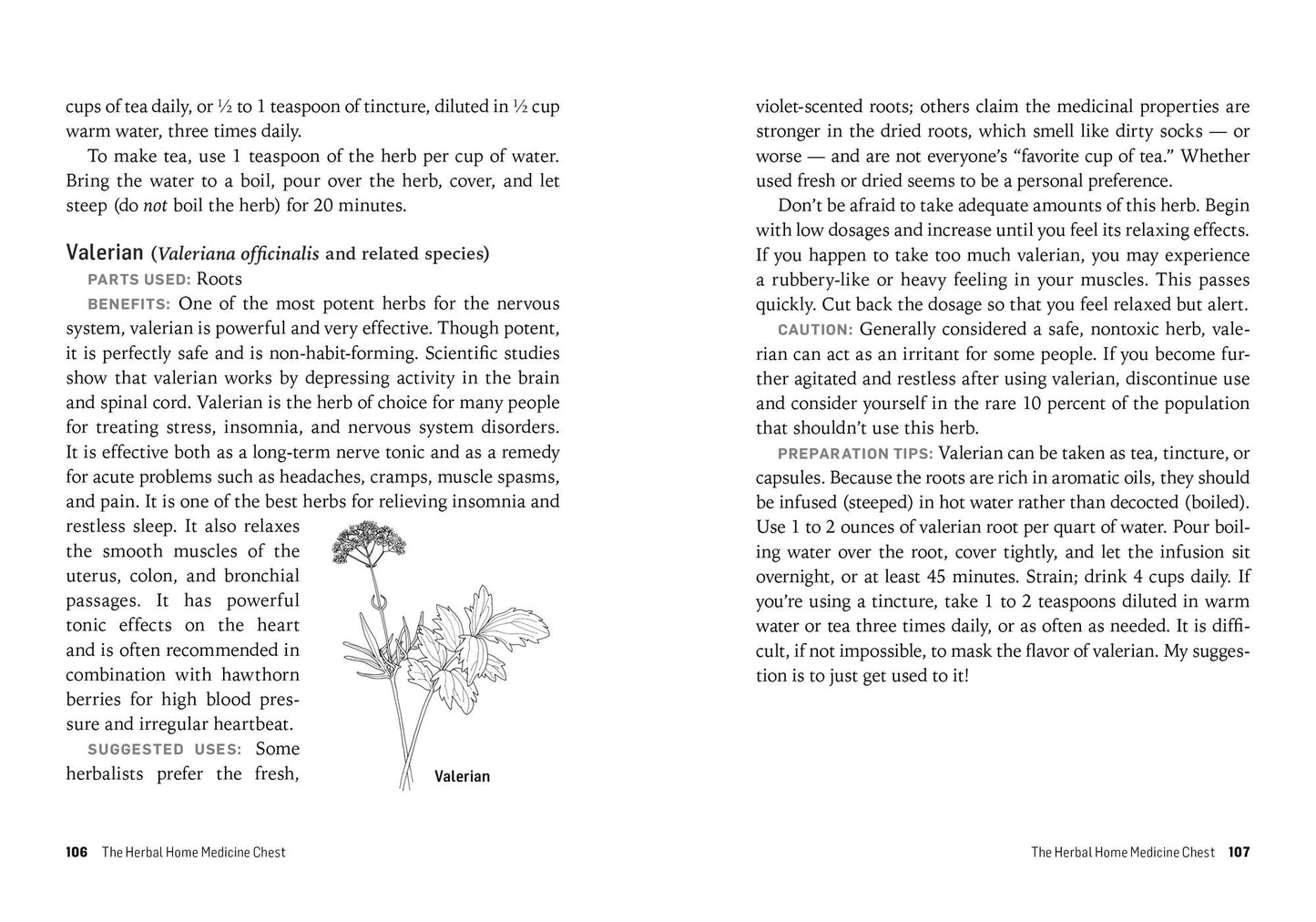 Herbs for Stress & Anxiety: How to Make and Use Herbal Remedies to Strengthen the Nervous System. A Storey BASICS Title