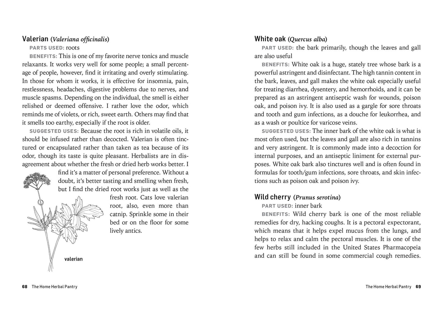 Herbs for Common Ailments: How to Make and Use Herbal Remedies for Home Health Care. A Storey BASICS Title