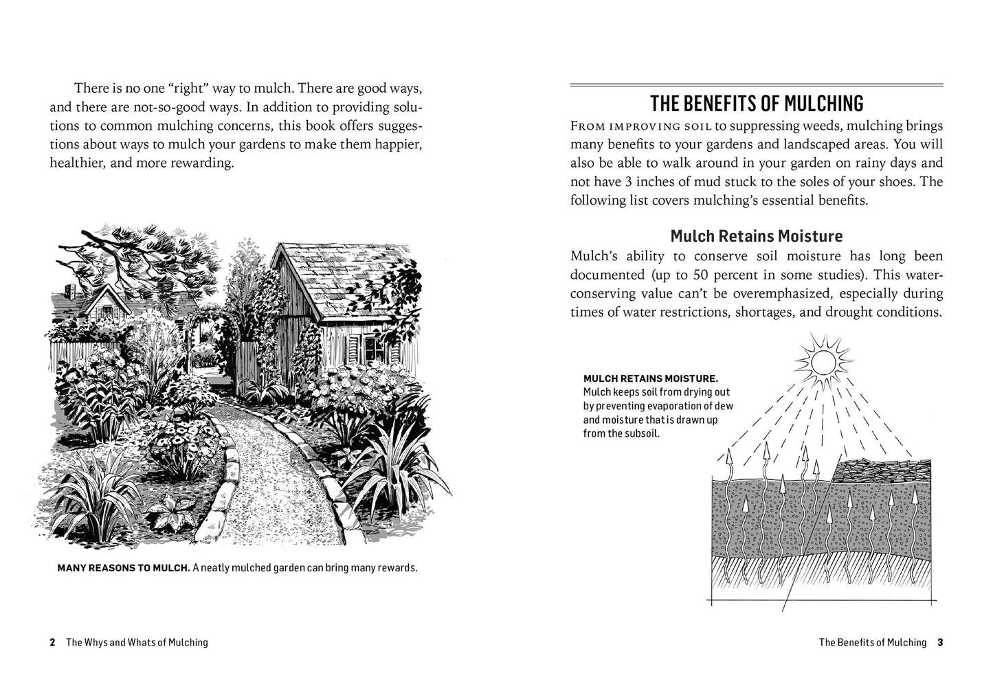 How to Mulch: Save Water, Feed the Soil, and Suppress Weeds. A Storey BASICSTitle