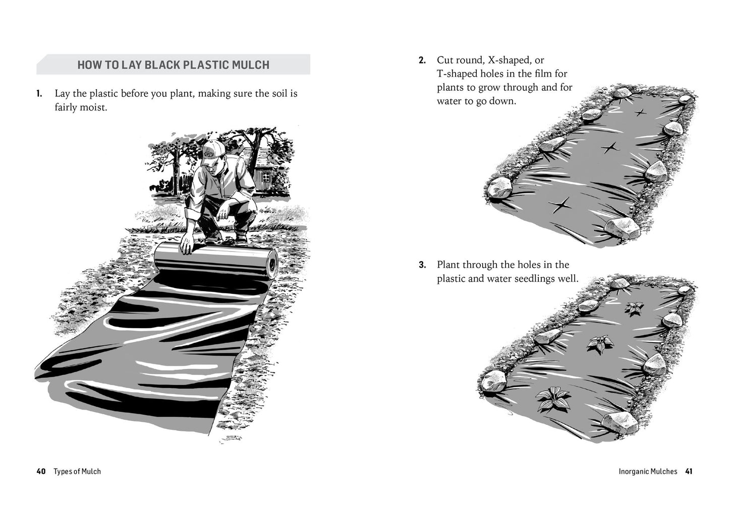 How to Mulch: Save Water, Feed the Soil, and Suppress Weeds. A Storey BASICSTitle