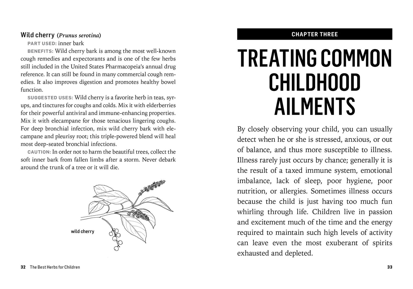 Herbs for Children's Health: How to Make and Use Gentle Herbal Remedies for Soothing Common Ailments. A Storey BASICS Title