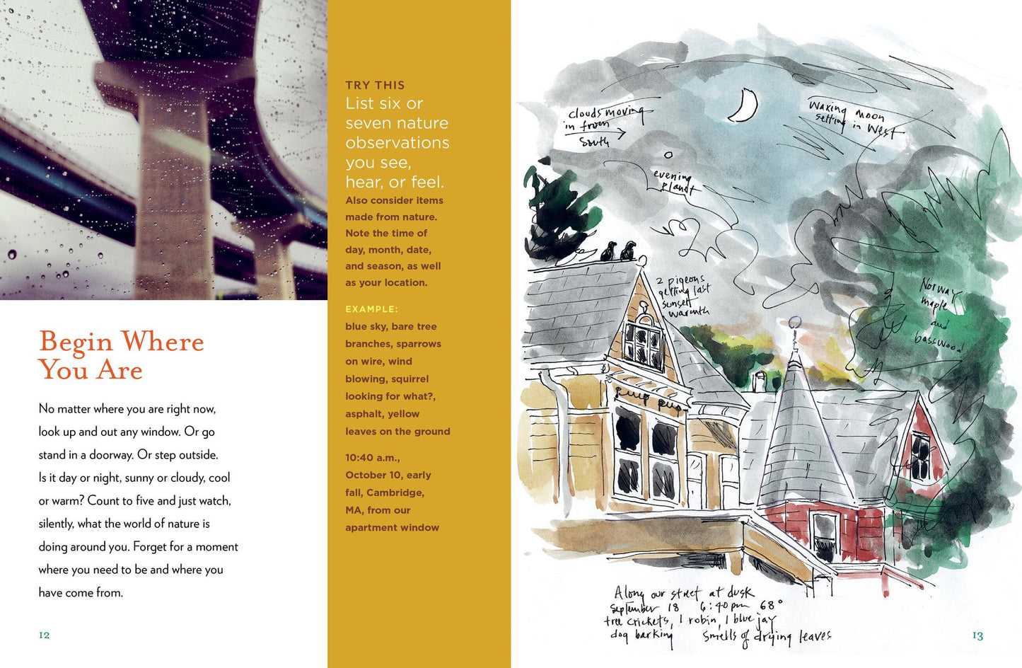 The Curious Nature Guide: Explore the Natural Wonders All Around You