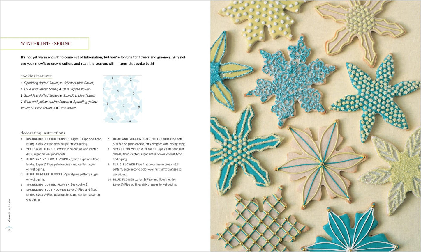 Cookie Craft: From Baking to Luster Dust, Designs and Techniques for Creative Cookie Occasions