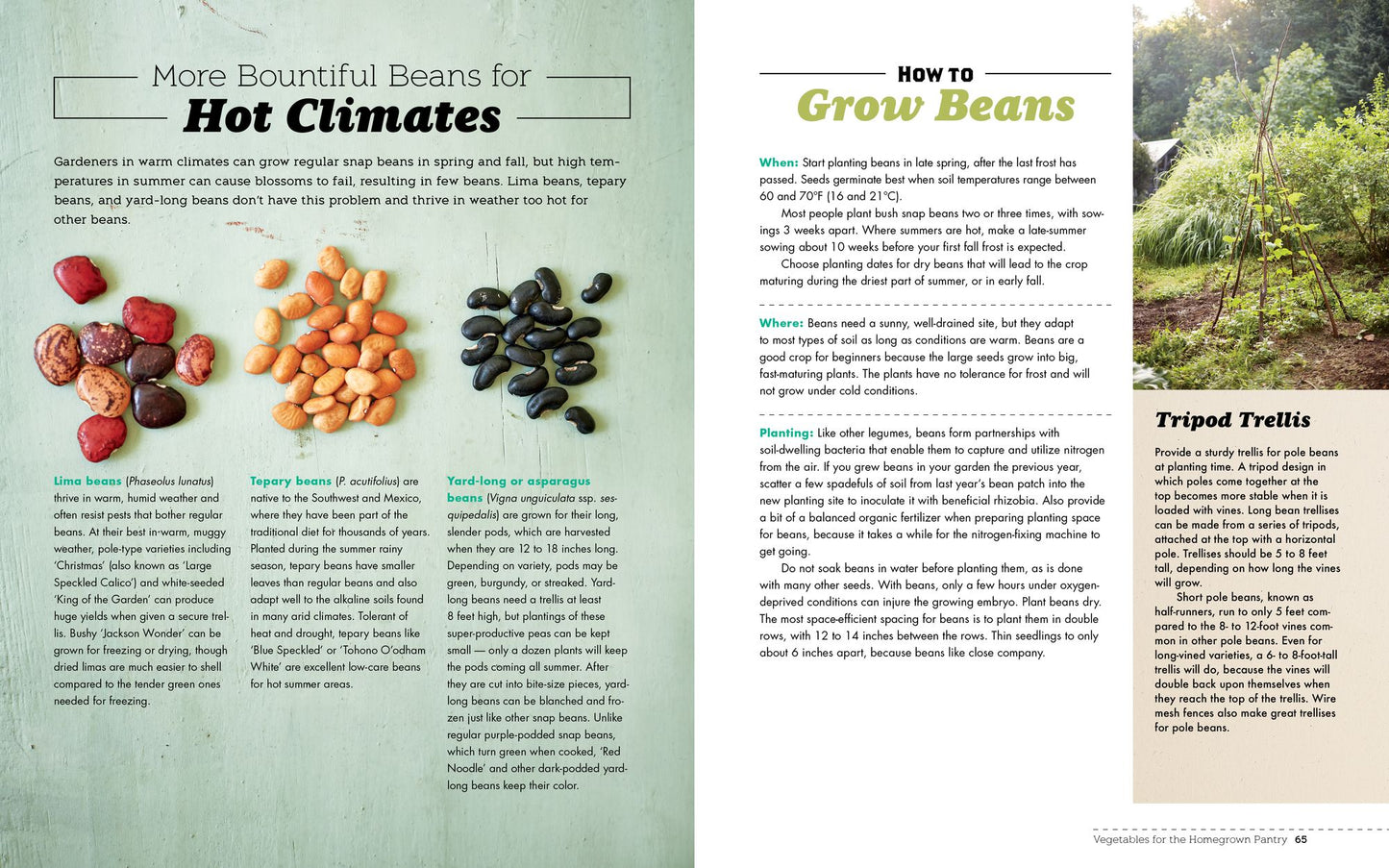 Homegrown Pantry: A Gardener's Guide to Selecting the Best Varieties & Planting the Perfect Amounts for What You Want to Eat Year-Round