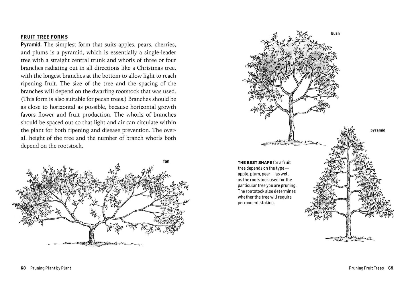 How to Prune Trees & Shrubs: Easy Techniques for Timely Trimming. A Storey BASICS Title