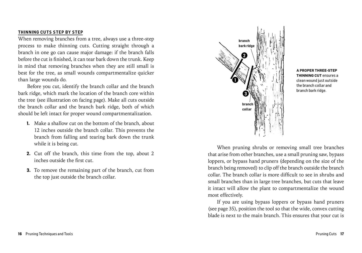 How to Prune Trees & Shrubs: Easy Techniques for Timely Trimming. A Storey BASICS Title