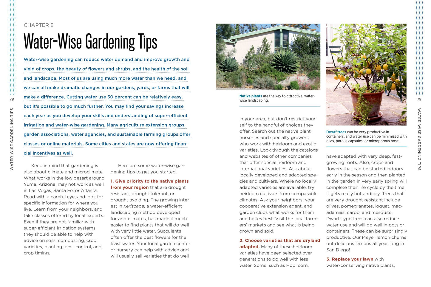 Gardening with Less Water: Low-Tech, Low-Cost Techniques; Use up to 90% Less Water in Your Garden