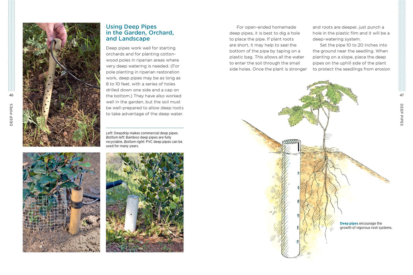 Gardening with Less Water: Low-Tech, Low-Cost Techniques; Use up to 90% Less Water in Your Garden