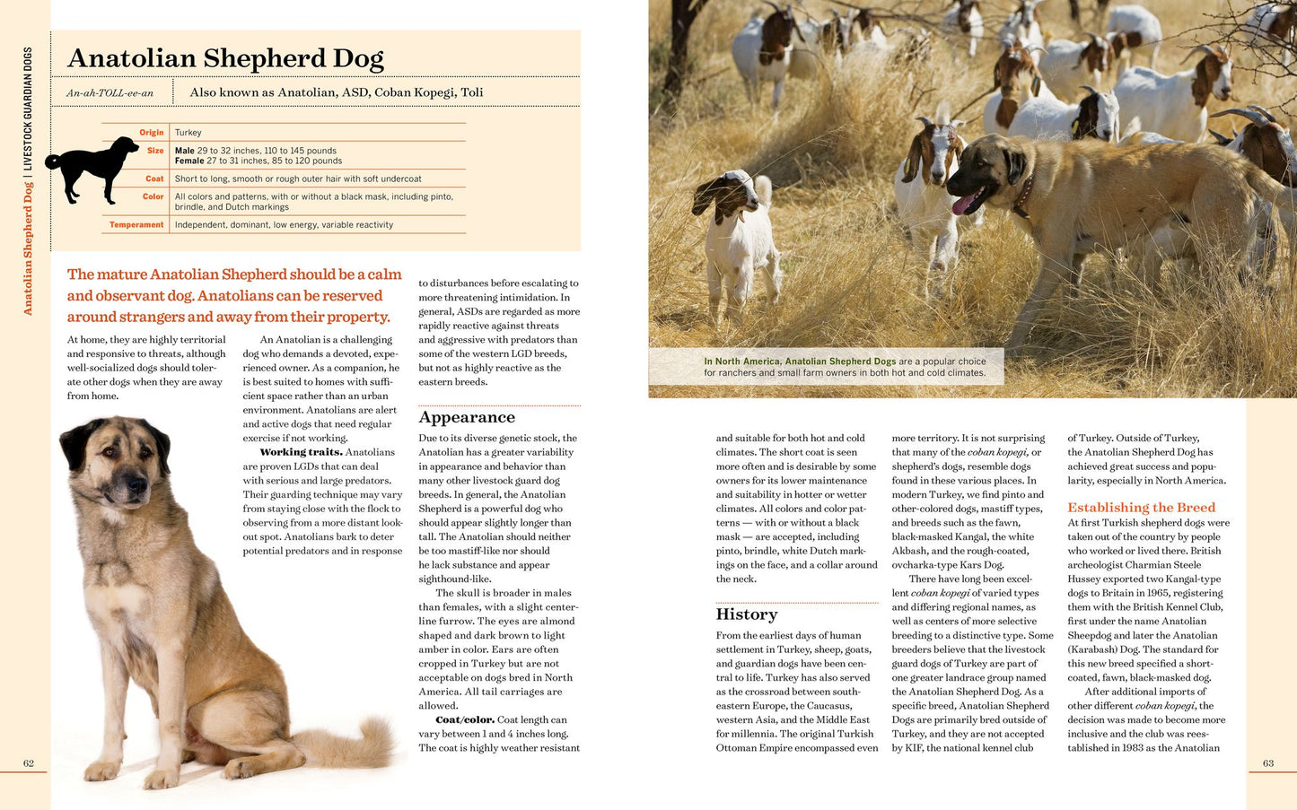 Farm Dogs: A Comprehensive Breed Guide to 93 Guardians, Herders, Terriers, and Other Canine Working Partners