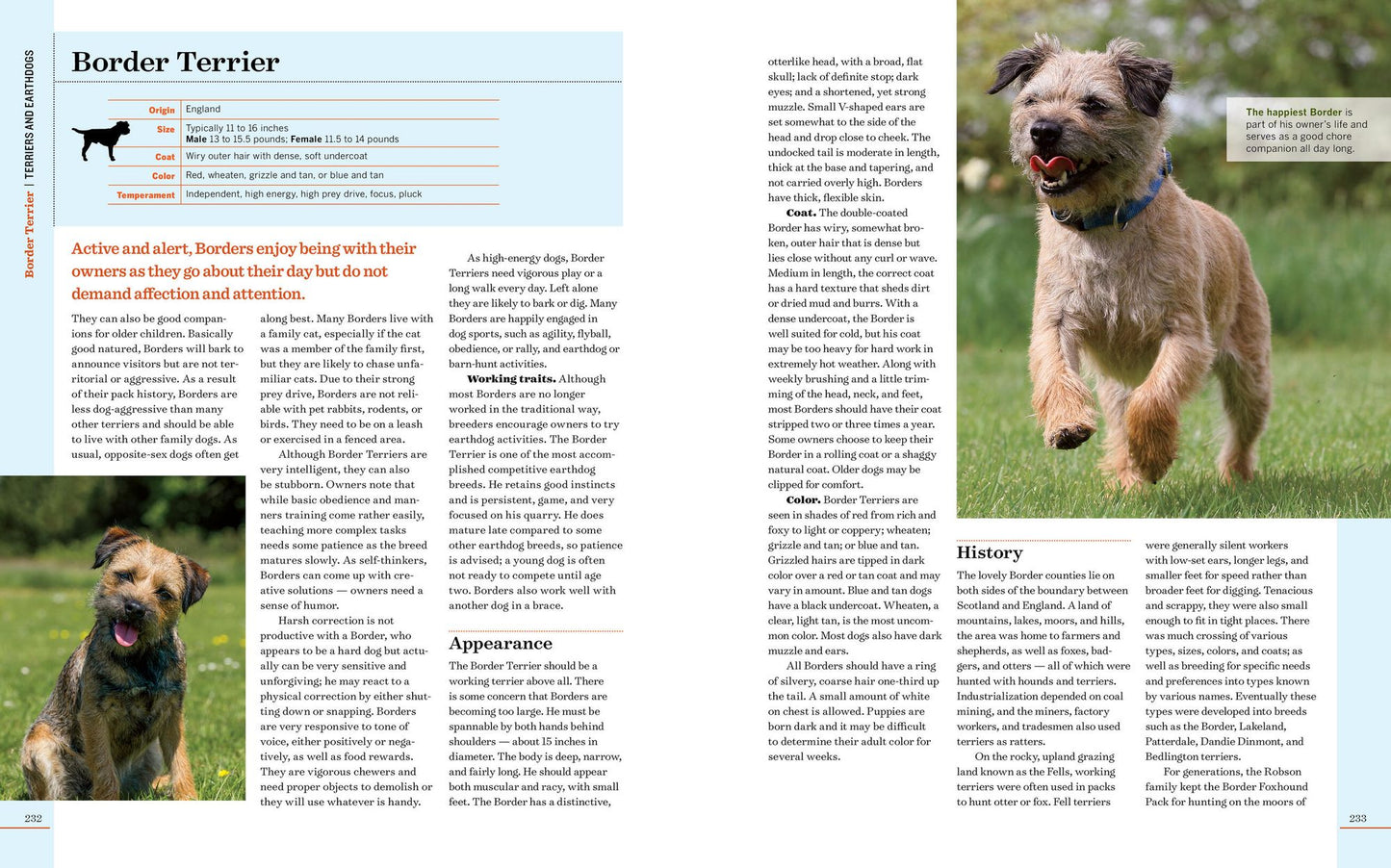 Farm Dogs: A Comprehensive Breed Guide to 93 Guardians, Herders, Terriers, and Other Canine Working Partners