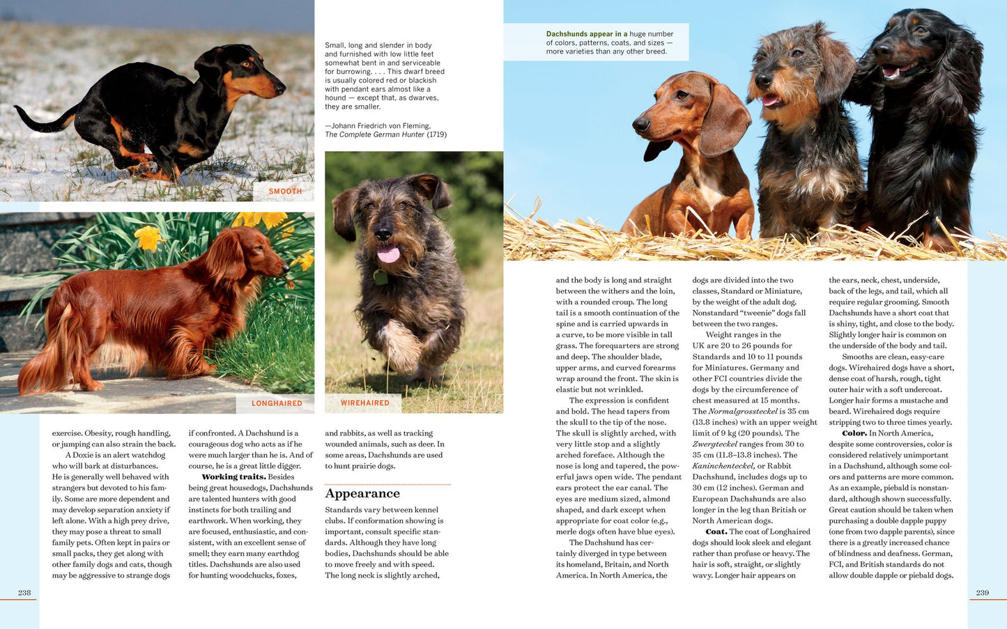 Farm Dogs: A Comprehensive Breed Guide to 93 Guardians, Herders, Terriers, and Other Canine Working Partners