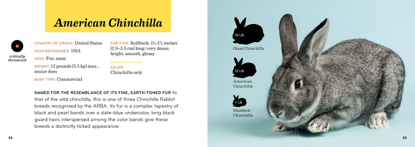 Rabbit Breeds: The Pocket Guide to 49 Essential Breeds