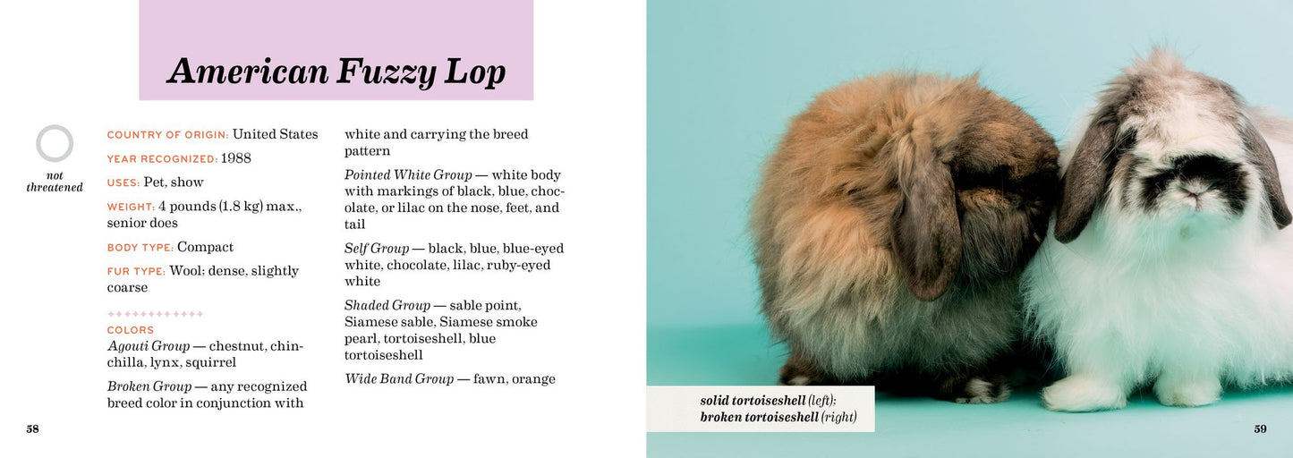 Rabbit Breeds: The Pocket Guide to 49 Essential Breeds