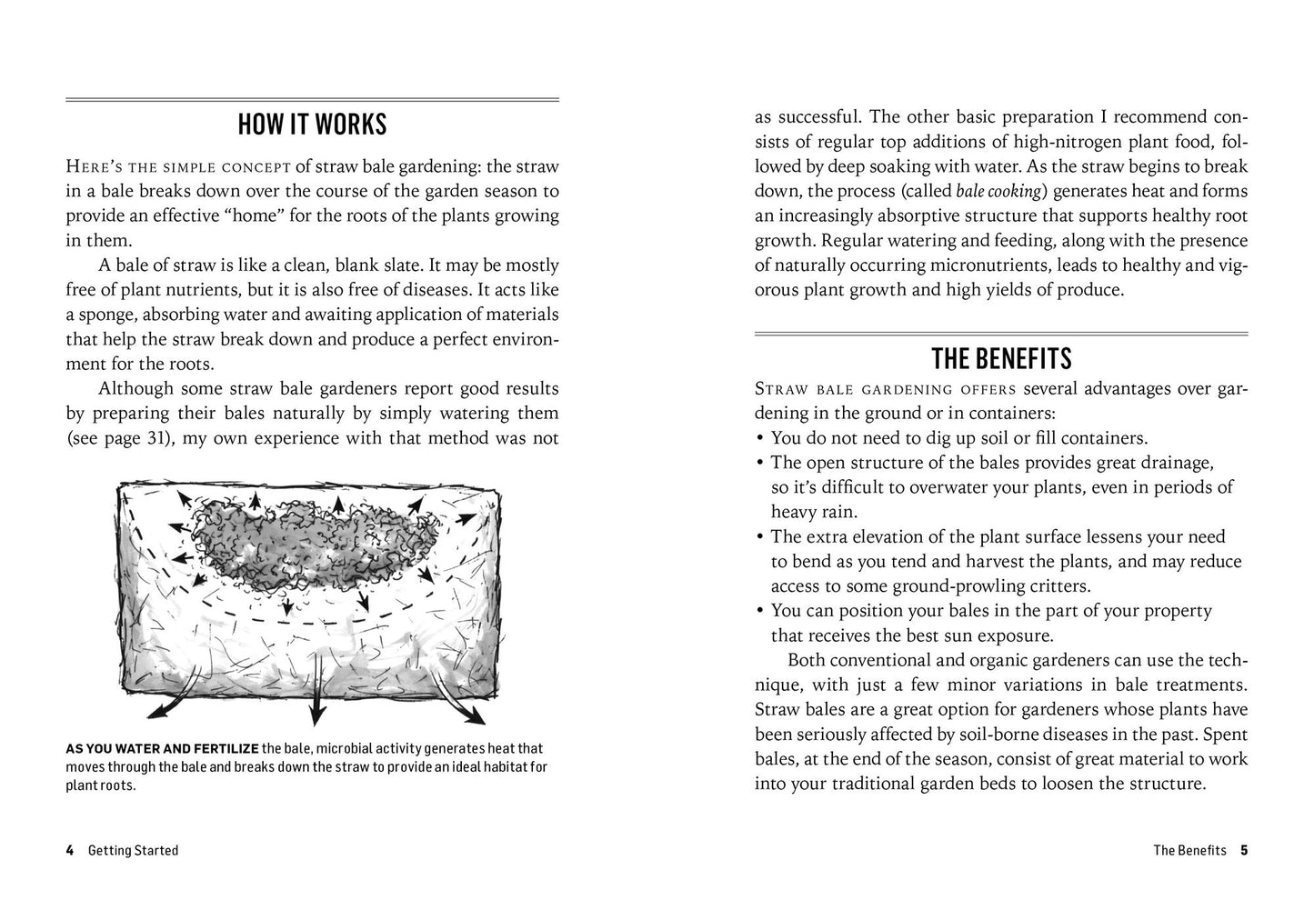 Growing Vegetables in Straw Bales: Easy Planting, Less Weeding, Early Harvests. A Storey BASICS Title